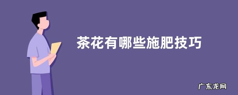 茶花有哪些施肥技巧