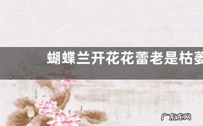 蝴蝶兰开花花蕾老是枯萎是什么原因