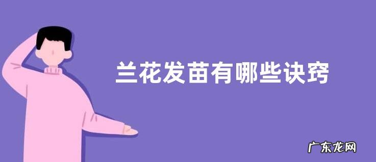 兰花发苗有哪些诀窍