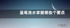 蓝莓浇水掌握哪些个要点