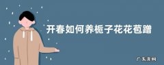 开春如何养栀子花花苞蹭蹭长