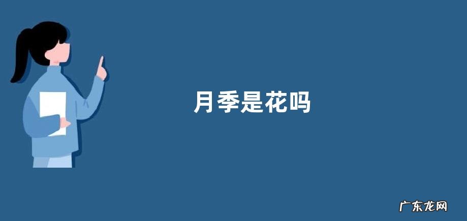 月季是花吗