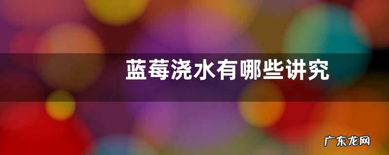 蓝莓浇水有哪些讲究