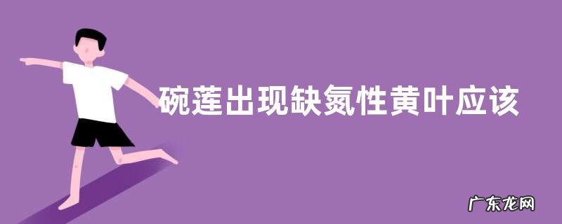 碗莲出现缺氮性黄叶应该如何追肥