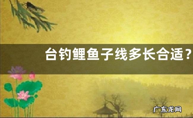 台钓鲤鱼子线多长合适?取决于鱼情、季节、个体和钓法等因素