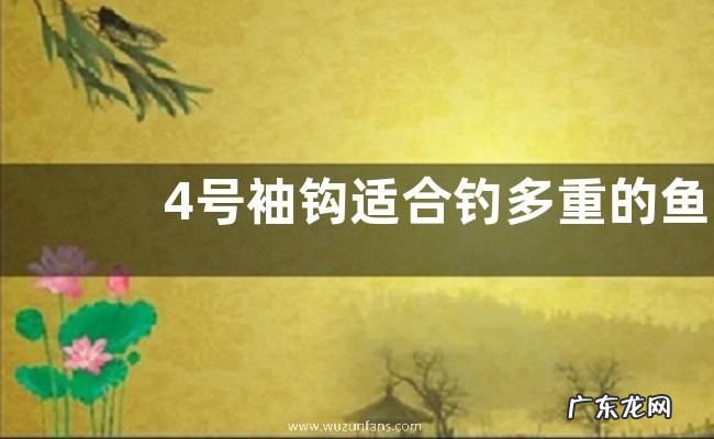 4号袖钩适合钓多重的鱼?影响因素非常多,但建议钓半斤的鱼!