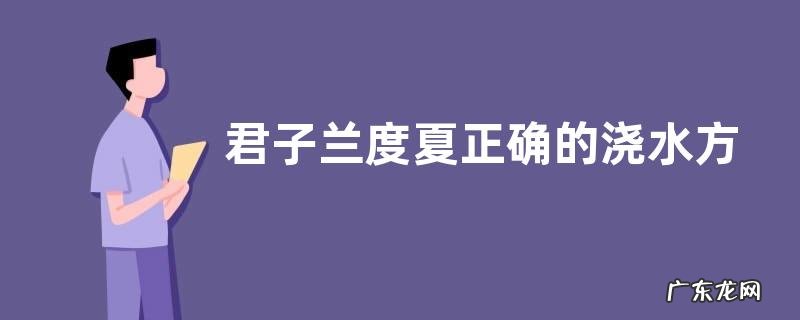君子兰度夏正确的浇水方法
