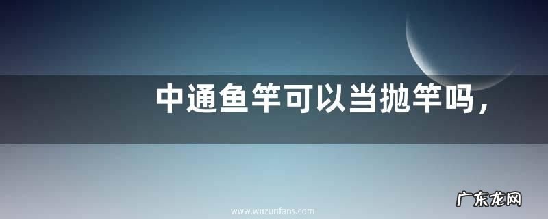 中通鱼竿可以当抛竿吗，附竿型定义与特点