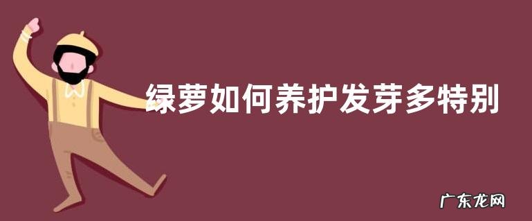 绿萝如何养护发芽多特别壮