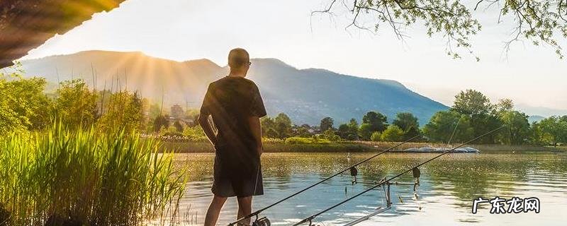 黑坑竿 战斗竿好用吗?附其竿型定义