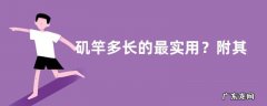 矶竿多长的最实用？附其竿型特点