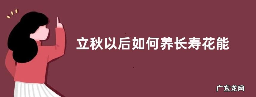 立秋以后如何养长寿花能保证花量更多