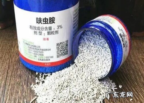 三伏天蟹爪兰使用呋虫胺不腐烂