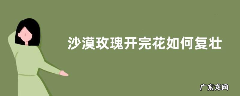 沙漠玫瑰开完花如何复壮工作
