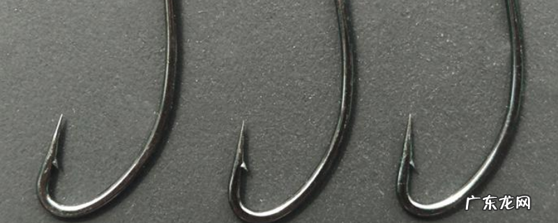 秋田狐鱼钩几号适合钓白条?附选钩原则