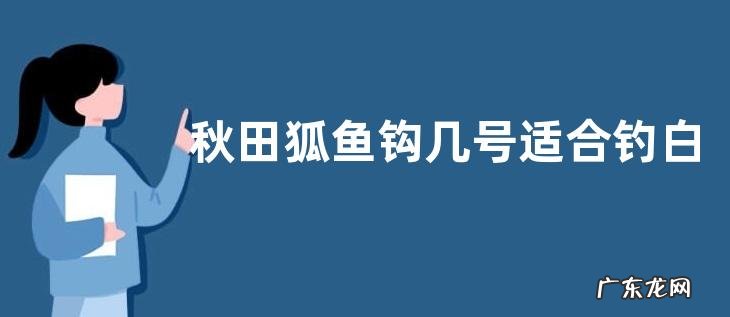 秋田狐鱼钩几号适合钓白条?附选钩原则