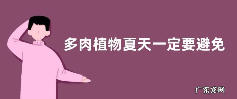 多肉植物夏天一定要避免淋雨