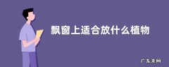 飘窗上适合放什么植物