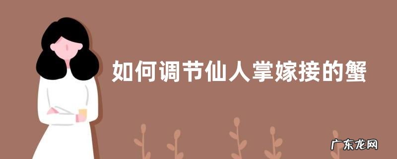 如何调节仙人掌嫁接的蟹爪兰会越长越旺