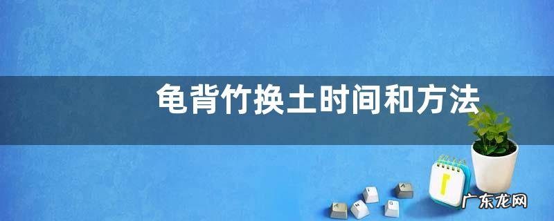 龟背竹换土时间和方法 换土后养护措施及注意事