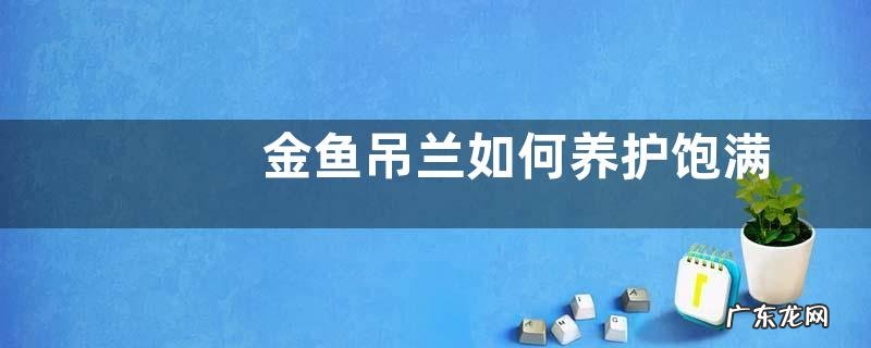 金鱼吊兰如何养护饱满