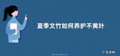 夏季文竹如何养护不黄叶