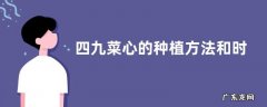 四九菜心的种植方法和时间 从播种到收获需多少天