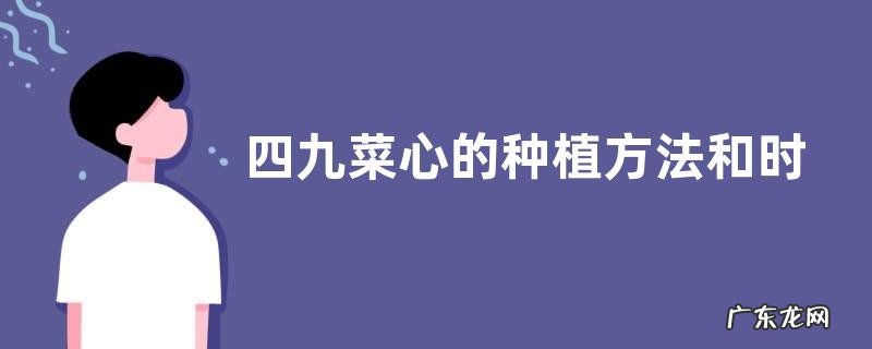 四九菜心的种植方法和时间 从播种到收获需多少天