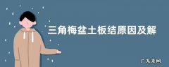 三角梅盆土板结原因及解决方法