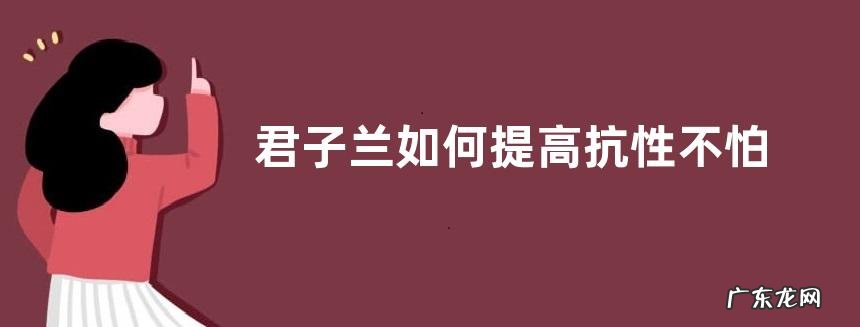 君子兰如何提高抗性不怕虫害烂根