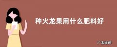 种火龙果用什么肥料好