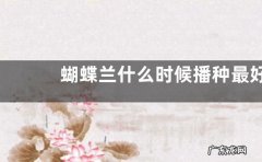蝴蝶兰什么时候播种最好 播种时间与方法