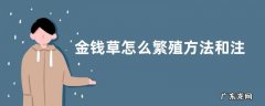 金钱草怎么繁殖方法和注意事项