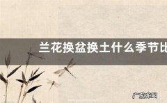 兰花换盆换土什么季节比较合适