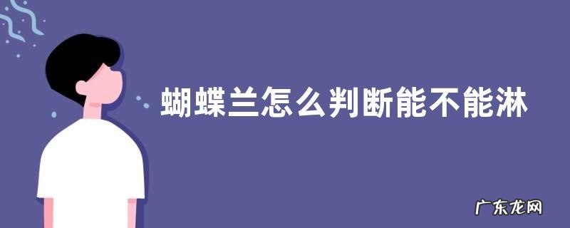 蝴蝶兰怎么判断能不能淋雨