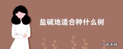 盐碱地适合种什么树