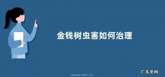 金钱树虫害如何治理