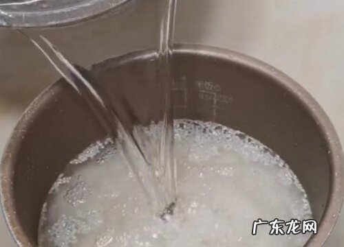 用什么水浇君子兰最好