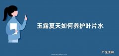 玉露夏天如何养护叶片水嫩