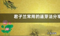 君子兰常用的逼芽法分享