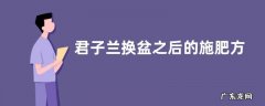 君子兰换盆之后的施肥方法