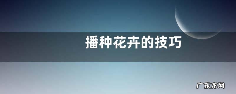 播种花卉的技巧