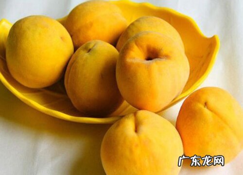 黄桃酸的怎么变甜 黄桃是酸的还是甜的