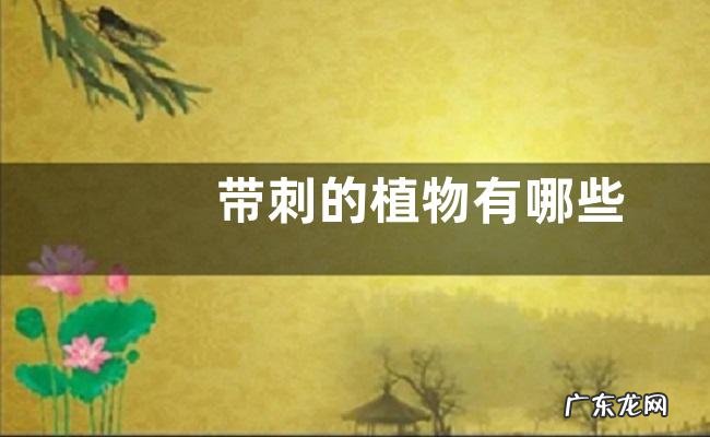 带刺的植物有哪些