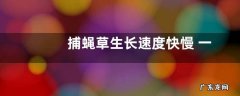 捕蝇草生长速度快慢 一年能长多少