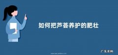 如何把芦荟养护的肥壮