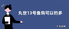 丸世13号鱼钩可以钓多大鱼？附其钩型数据