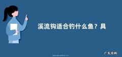 溪流钩适合钓什么鱼？具体有什么特点