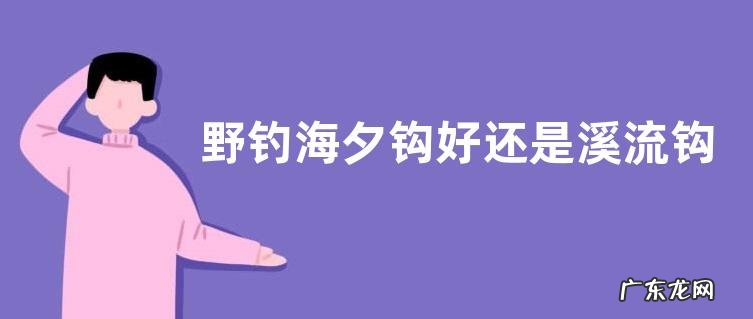 野钓海夕钩好还是溪流钩好?附其钩型对比
