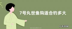 7号丸世鱼钩适合钓多大鱼？附其线组搭配